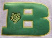 Atlanta Applique